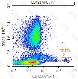 APC anti-human CD123