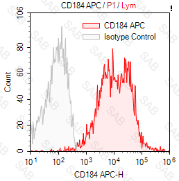 APC anti-human CD184