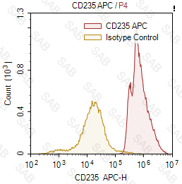 APC anti-human CD235