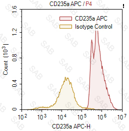 APC anti-human CD235a