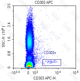 APC anti-human CD303