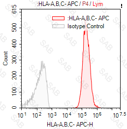 APC anti-human HLA-A，B，C（HLA Class I）