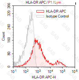 APC anti-human HLA-DR