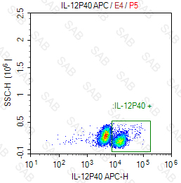 APC anti-human IL-12p40