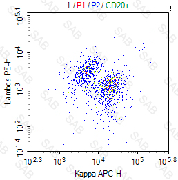 APC anti-human Kappa