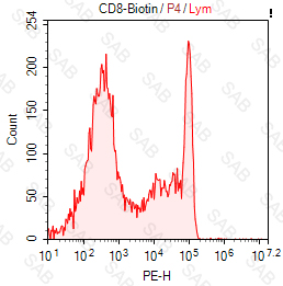 Biotin anti-human CD8