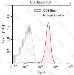 Biotin anti-human CD9