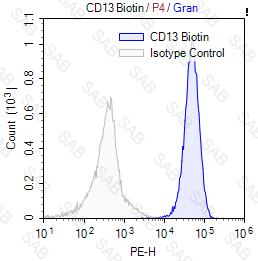 Biotin anti-human CD13