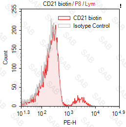 Biotin anti-human CD21