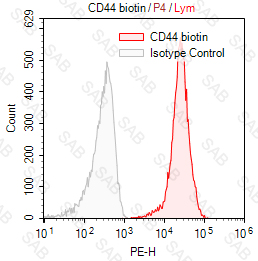 Biotin anti-human CD44