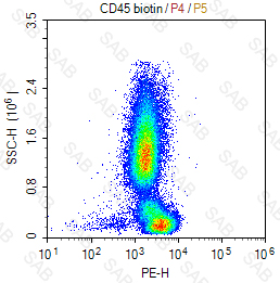 Biotin anti-human CD45