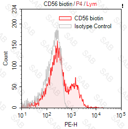 Biotin anti-human CD56