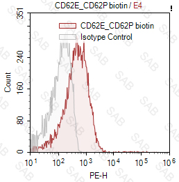 Biotin anti-human/pig CD62E/CD62P