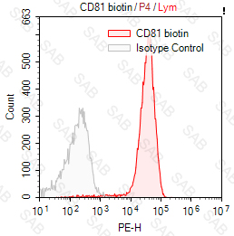 Biotin anti-human CD81