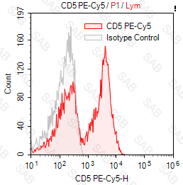 PE-Cy5 anti-human CD5