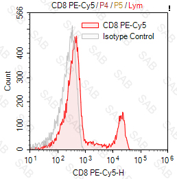 PE-Cy5 anti-human CD8