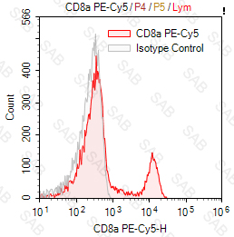 PE-Cy5 anti-human CD8α