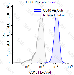 PE-Cy5 anti-human CD10