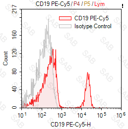 PE-Cy5 anti-human CD19