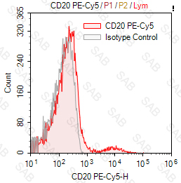 PE-Cy5 anti-human CD20