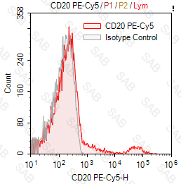 PE-Cy5 anti-human CD20