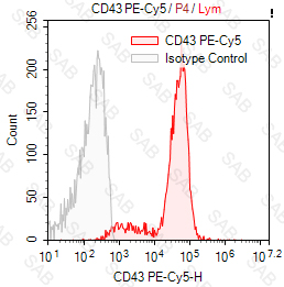 PE-Cy5 anti-human CD43