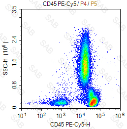 PE-Cy5 anti-human CD45