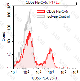 PE-Cy5 anti-human CD56