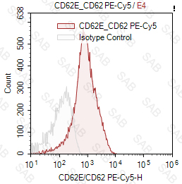 PE-Cy5 anti-human/pig CD62E/CD62P