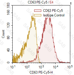 PE-Cy5 anti-human CD63