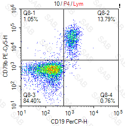 PE-Cy5 anti-human CD79b