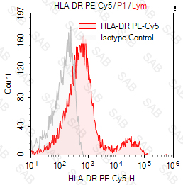 PE-Cy5 anti-human HLA-DR