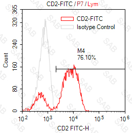 FITC anti-human CD2