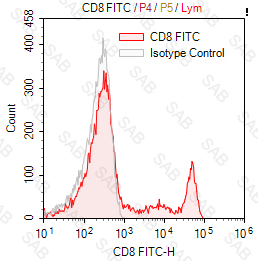 FITC anti-human CD8