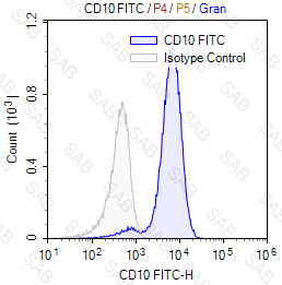 FITC anti-human CD10