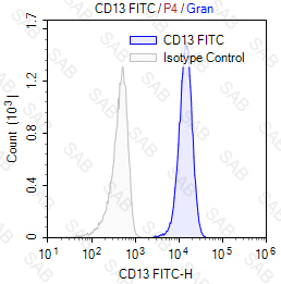 FITC anti-human CD13