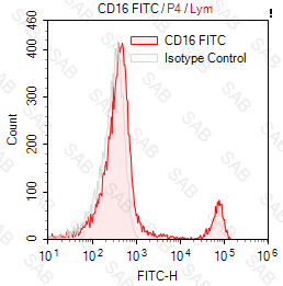 FITC anti-human CD16