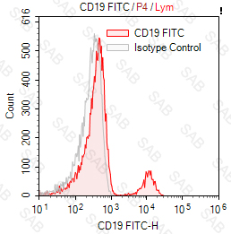 FITC anti-human CD19