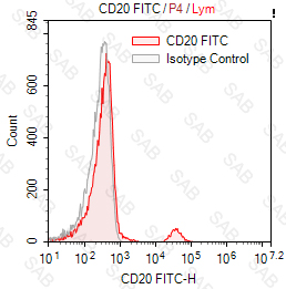 FITC anti-human CD20