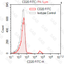 FITC anti human CD20