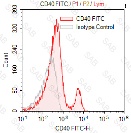 FITC anti-human CD40