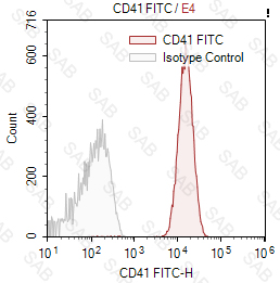 FITC anti-human CD41