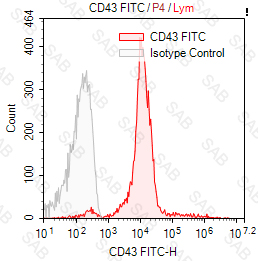 FITC anti-human CD43