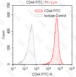 FITC anti-human CD44