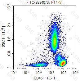 FITC anti-human CD45