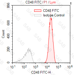 FITC anti-human CD48