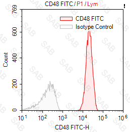 FITC anti-human CD48