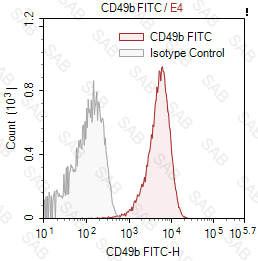 FITC anti-human CD49b