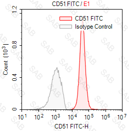 FITC anti-human CD51