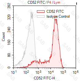 FITC anti-human CD52